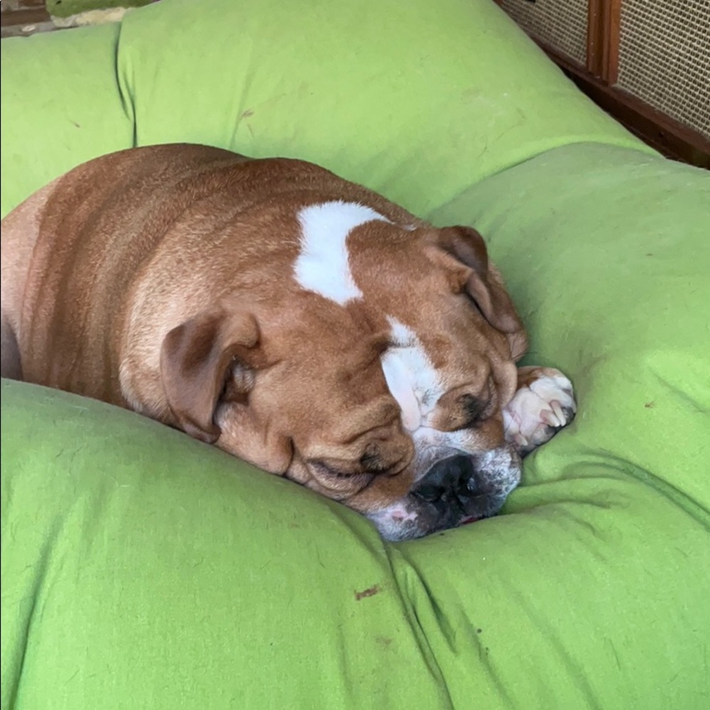 Meet your Posher, Missy